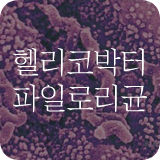 헬리코박터