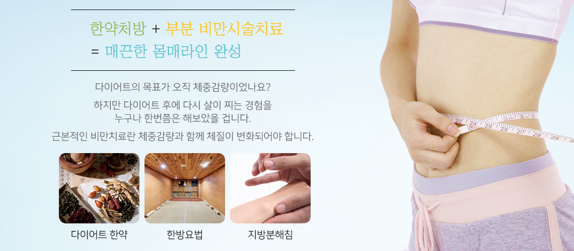 비만의 원인과 치료목표